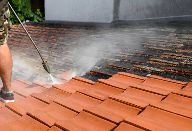 Best Fence Pressure Washing  in Bethany, IL