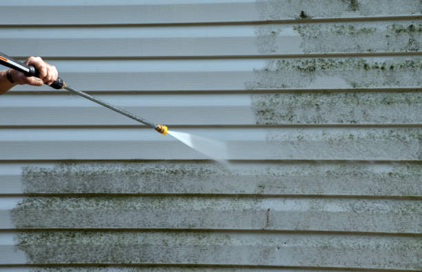 Best Deck Cleaning Services  in Bethany, IL